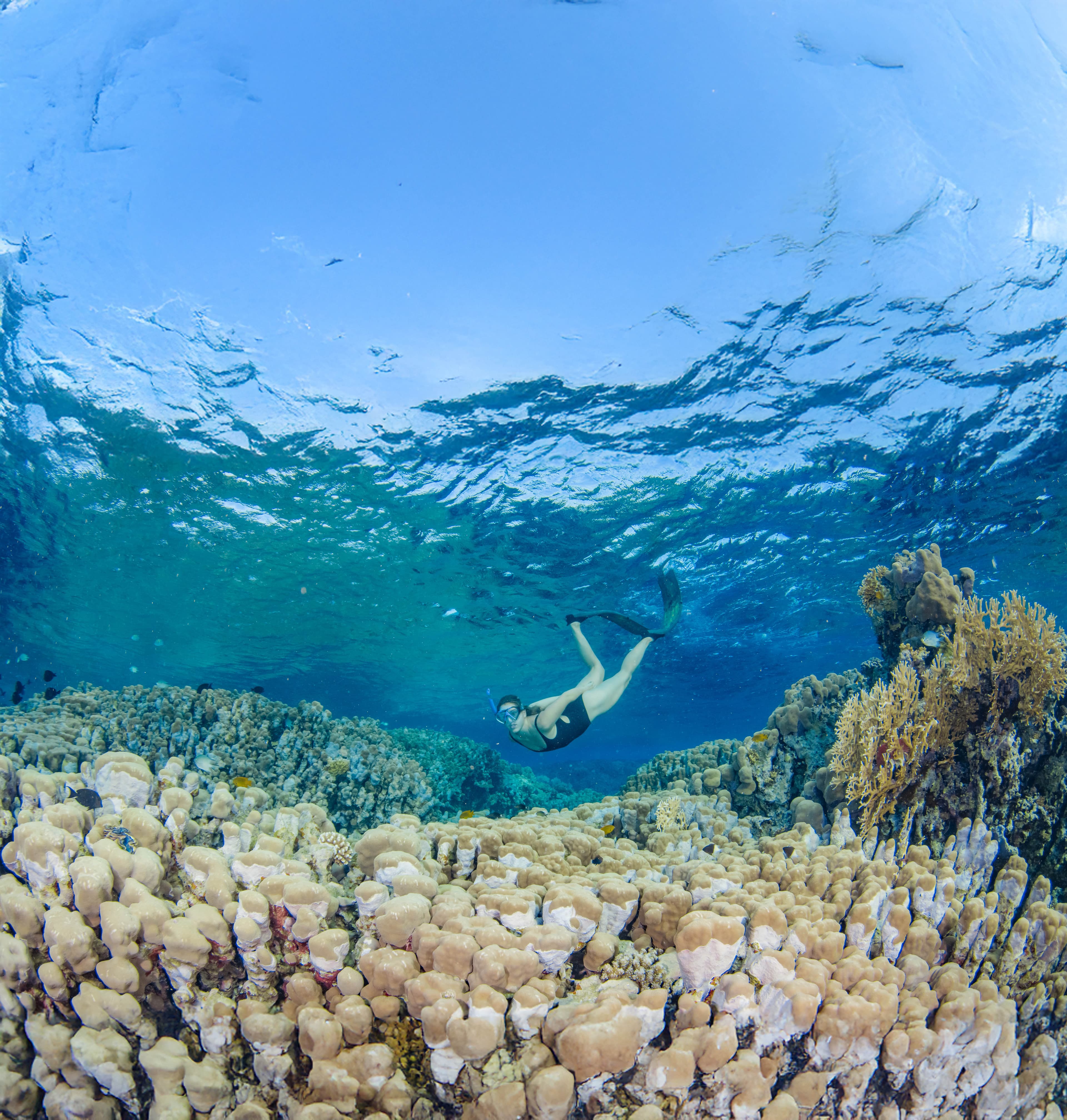 Abu Dabbab Beach Background